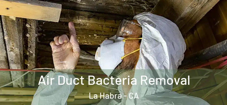 Air Duct Bacteria Removal La Habra - CA