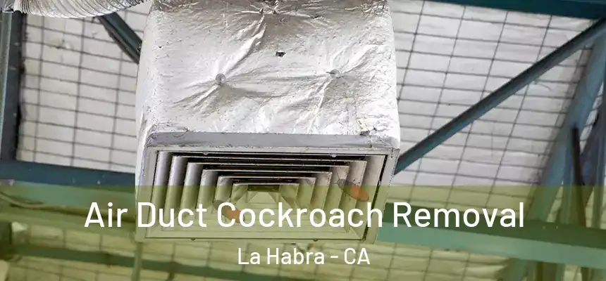  Air Duct Cockroach Removal La Habra - CA