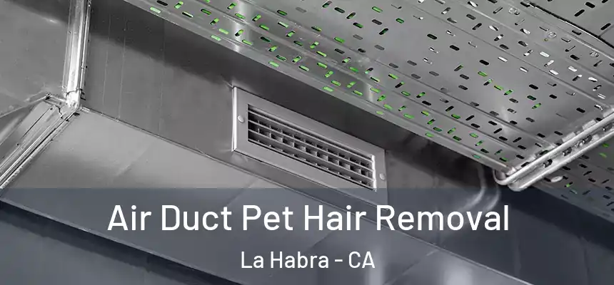  Air Duct Pet Hair Removal La Habra - CA