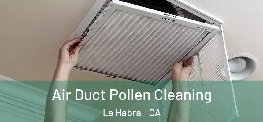 Air Duct Pollen Cleaning La Habra - CA