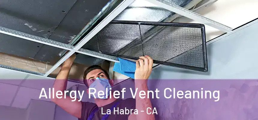  Allergy Relief Vent Cleaning La Habra - CA