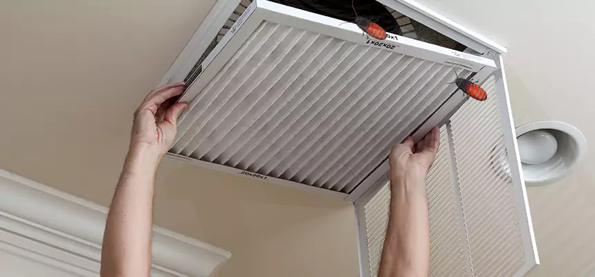 Preventive Cockroach-Proofing for Ducts in La Habra
