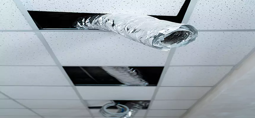 Our Air Duct Pet Hair Removal Services in La Habra, CA