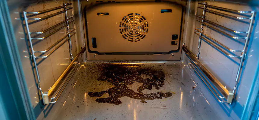 Our Dryer Vent Mold Cleaning Services in La Habra, CA