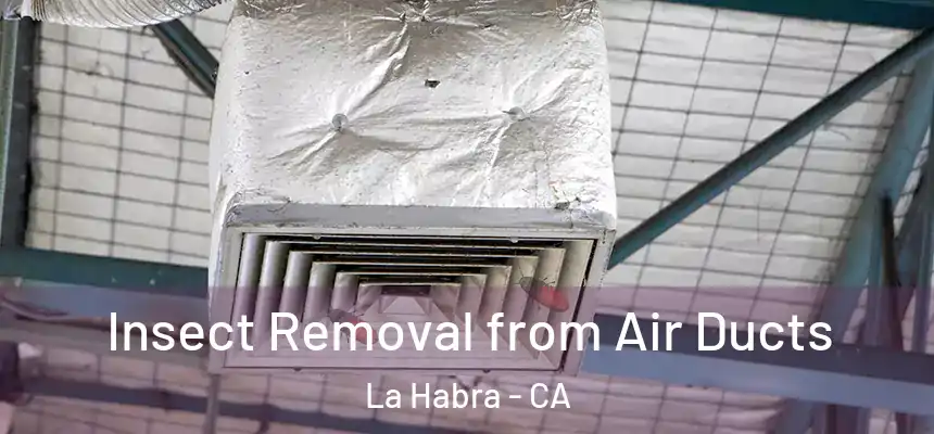  Insect Removal from Air Ducts La Habra - CA