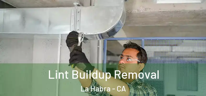 Lint Buildup Removal La Habra - CA