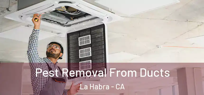  Pest Removal From Ducts La Habra - CA