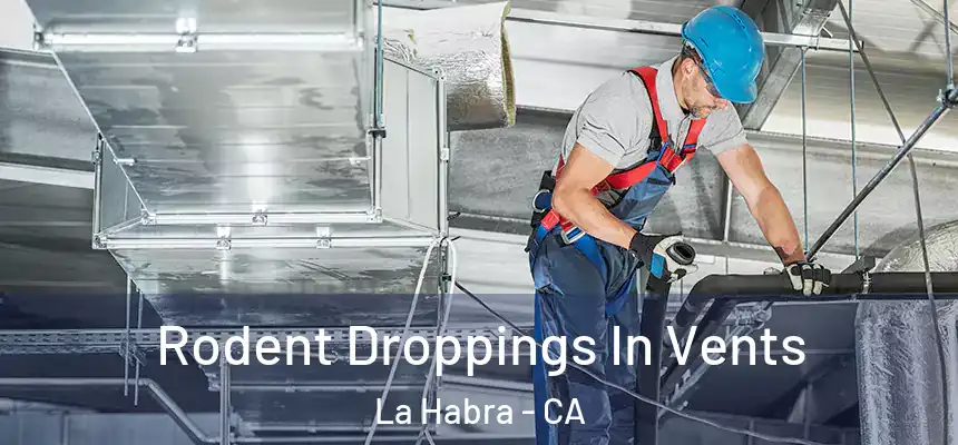  Rodent Droppings In Vents La Habra - CA