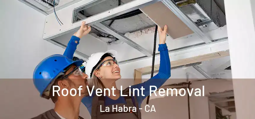  Roof Vent Lint Removal La Habra - CA