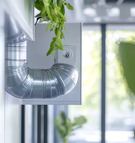 Professional Eco-Safe Dryer Vent Cleaning in La Habra, CA