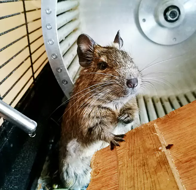 Why Homeowners & Businesses Trust Us La Habra, CA?