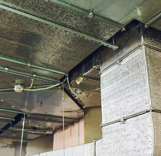 Why Homeowners & Businesses Trust Us in La Habra, CA?